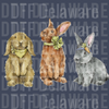 rio of Watercolor Easter Bunnies DTF - Hand-Painted Rabbit Family Graphic
