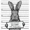Funny Easter Bunny Mugshot DTF Transfer - Bad Bunny "Crime Stealing Carrots" Graphic