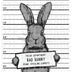 Funny Easter Bunny Mugshot DTF Transfer - Bad Bunny "Crime Stealing Carrots" Graphic
