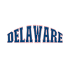 Delaware Fan Design Lens Looking Text - DTF Ready for Press - DTF Delaware