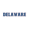 Delaware Fan Design Straight Text - DTF Ready for Press - DTF Delaware