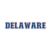 Delaware Fan Design Straight Text - DTF Ready for Press - DTF Delaware