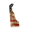 Sparkling USA Flag Delaware Design- DTF Ready for Press - DTF Delaware